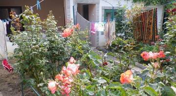 Фото номера Бюджетный трехместный номер Гостиница Guest house Kurortnoe г. Курортное 13